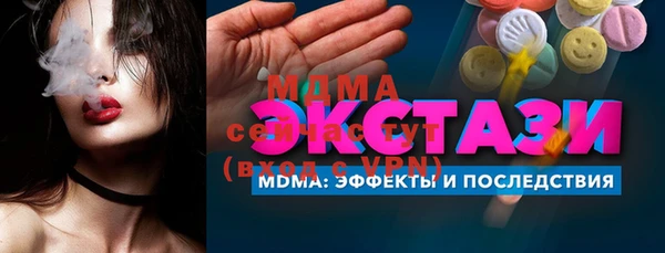 индика Алексин