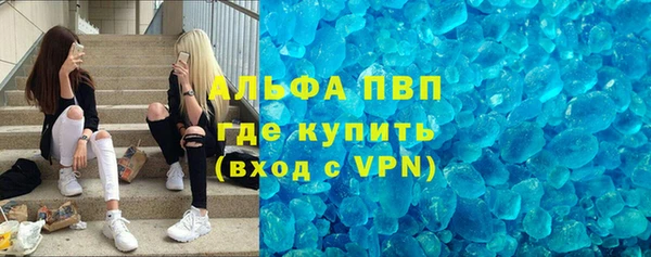 индика Алексин