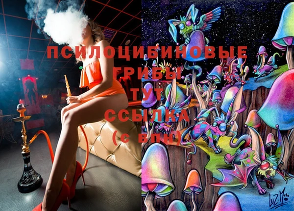 индика Алексин